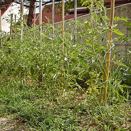 House Garden Venezia 马尔孔